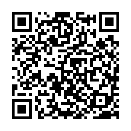QR code for ZTH799