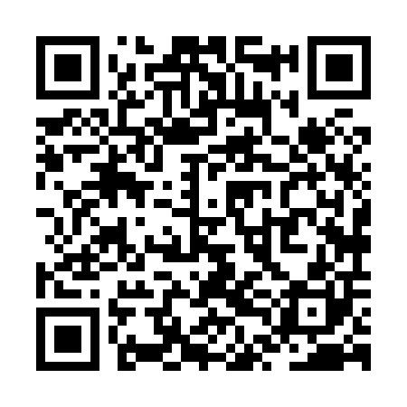 QR code for ZTH800