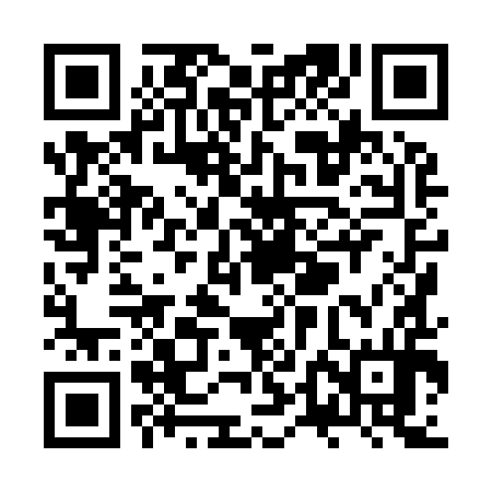 QR code for ZTH994