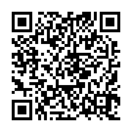 QR code for ZTI207