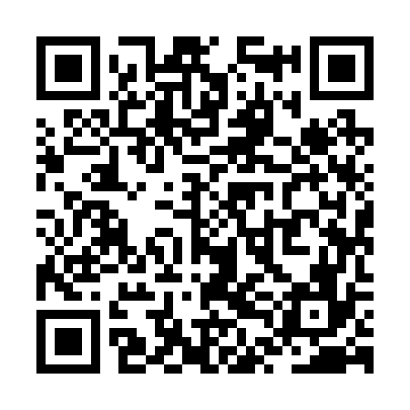 QR code for ZTI276
