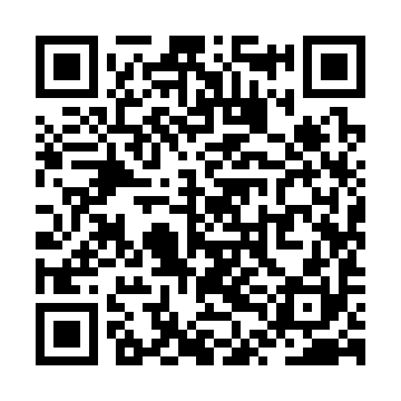 QR code for ZTI390