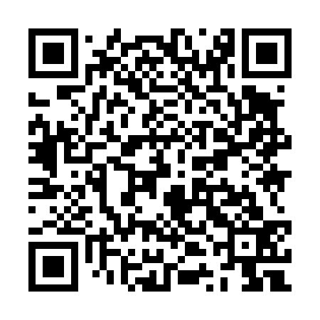QR code for ZTI433
