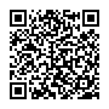 QR code for ZTI435