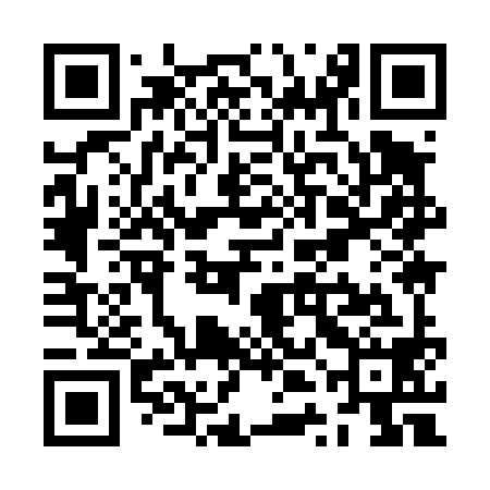 QR code for ZTI498
