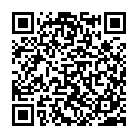 QR code for ZTI927