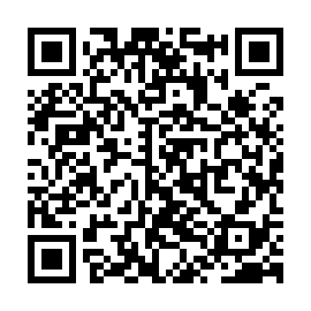 QR code for ZTI938
