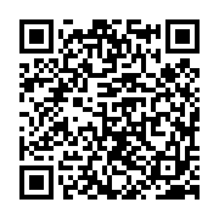 QR code for ZTJ413