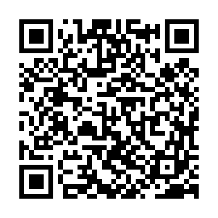 QR code for ZTJ463