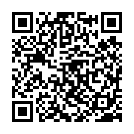 QR code for ZTJ611