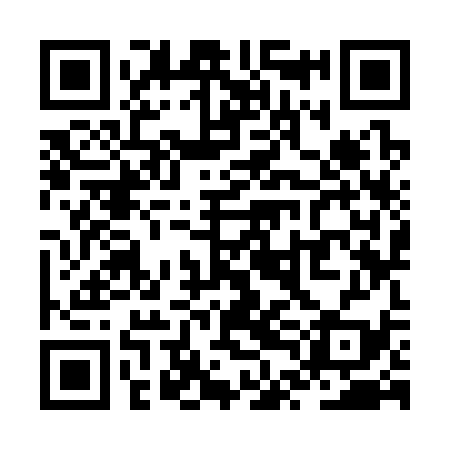 QR code for ZTK339