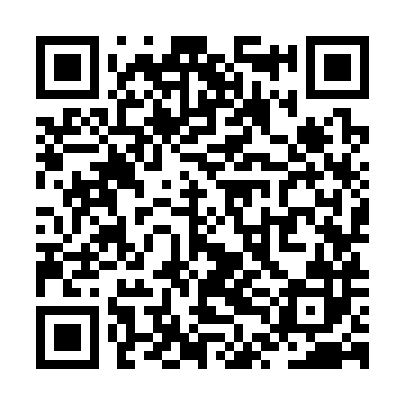 QR code for ZTK382