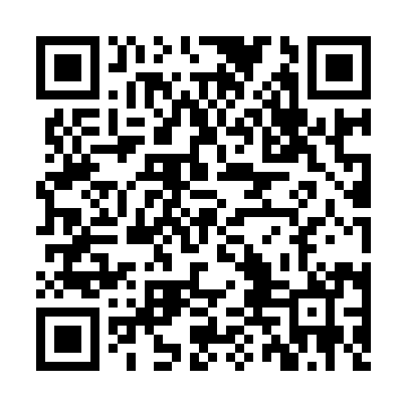 QR code for ZTK990
