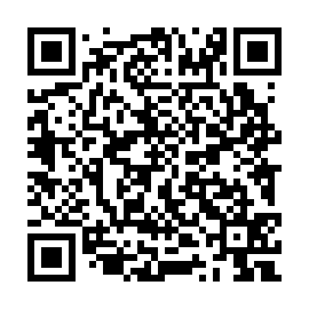 QR code for ZTL335