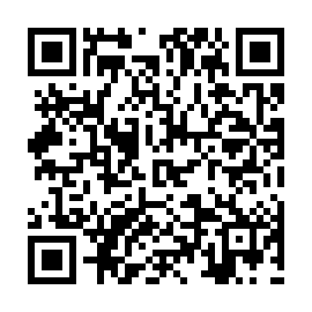 QR code for ZTL382