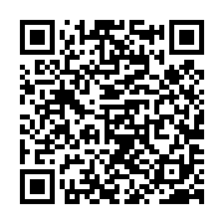 QR code for ZTL491