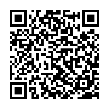 QR code for ZTL595