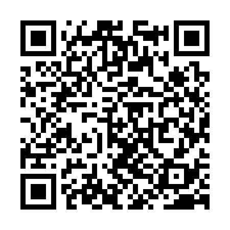 QR code for ZTM338