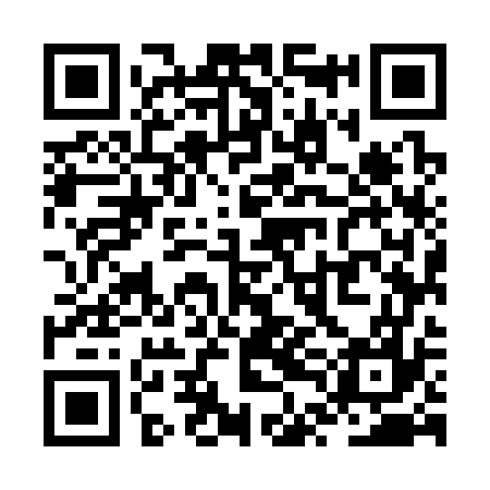 QR code for ZTM377