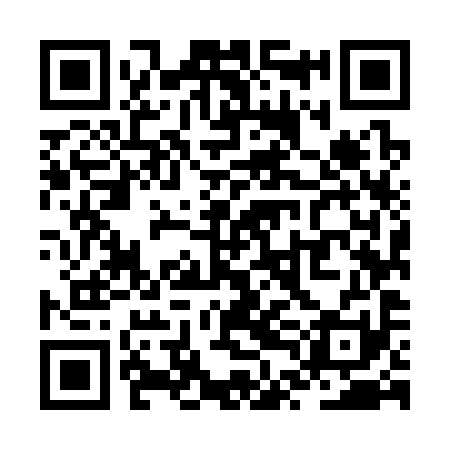 QR code for ZTM391