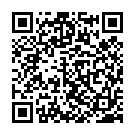 QR code for ZTM413