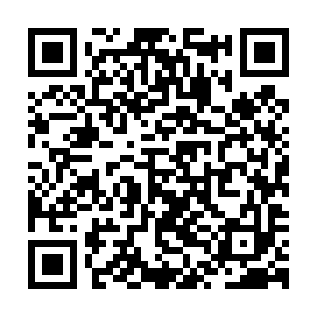 QR code for ZTM493