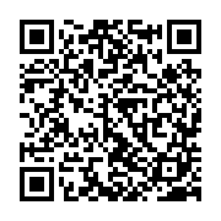 QR code for ZTN241