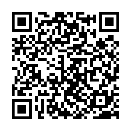 QR code for ZTN535