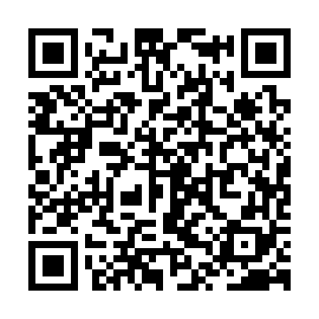 QR code for ZTQ368