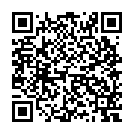 QR code for ZTQ393