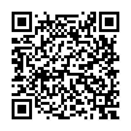 QR code for ZTQ991