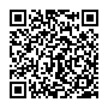QR code for ZTR125