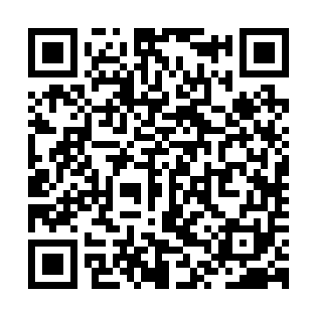 QR code for ZTR251