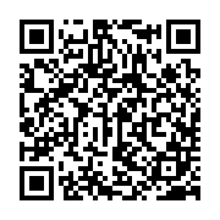 QR code for ZTR302