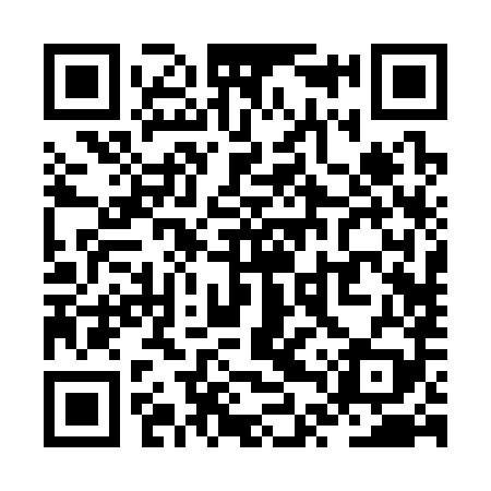 QR code for ZTR389