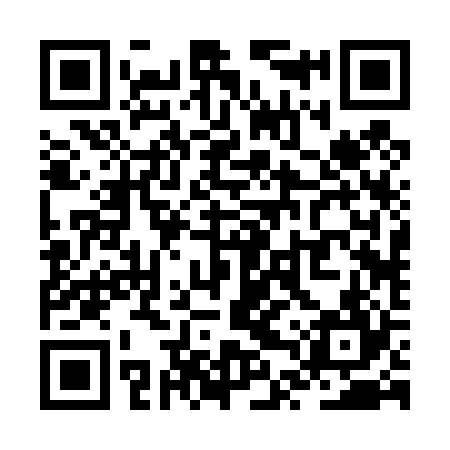 QR code for ZTR424