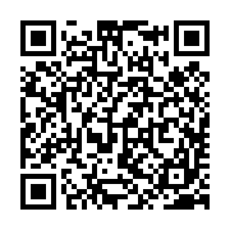 QR code for ZTR497