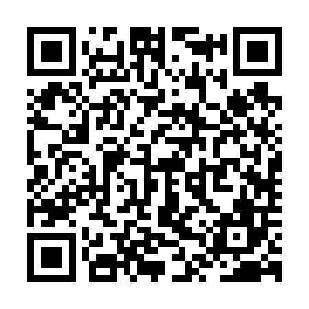 QR code for ZTR606