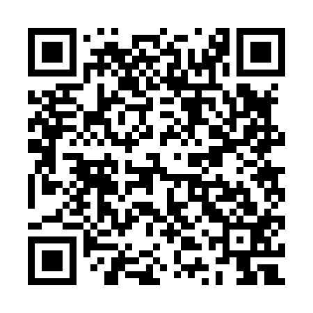 QR code for ZTR813