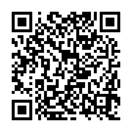 QR code for ZTR992