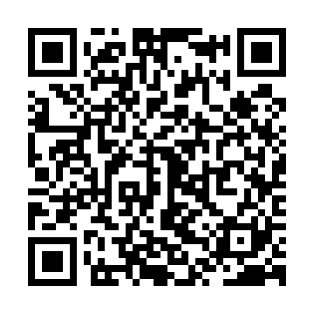 QR code for ZTS521