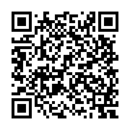 QR code for ZTS581