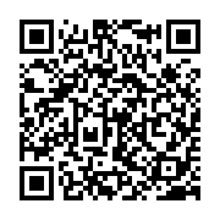 QR code for ZTS918
