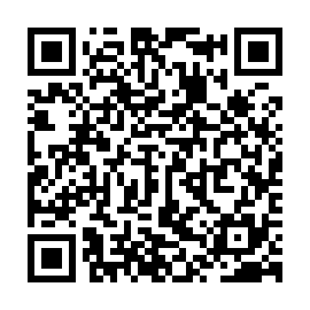 QR code for ZTS935