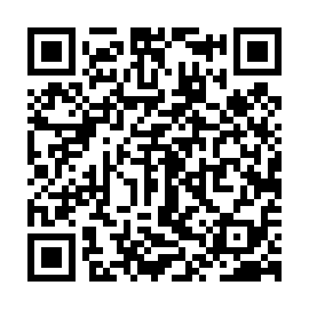QR code for ZTT419