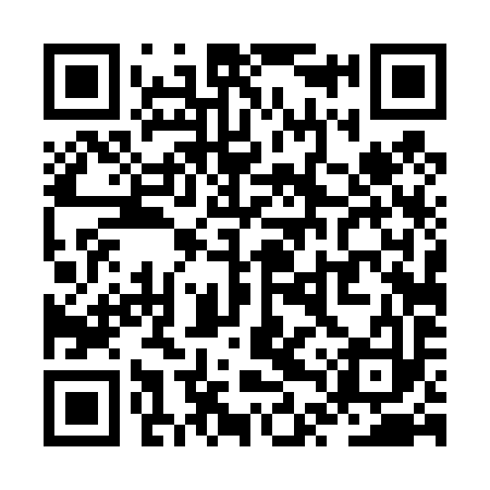 QR code for ZTT493