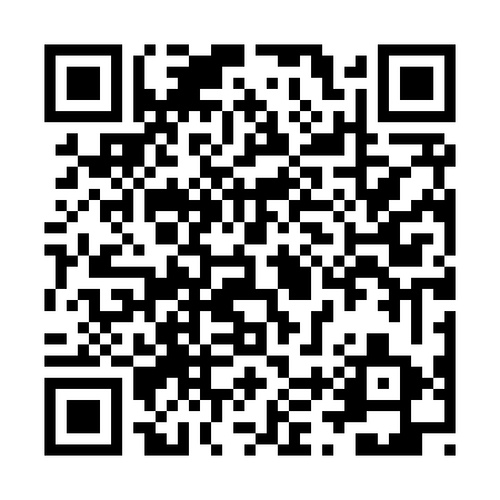 QR code for ZTT863