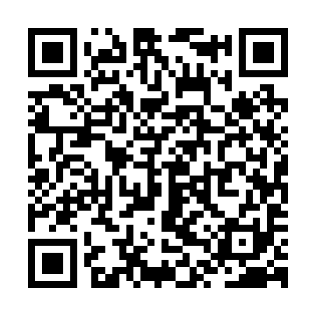 QR code for ZTU291