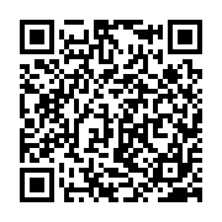QR code for ZTV317