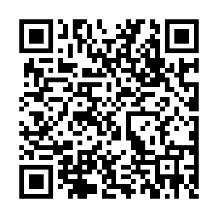QR code for ZTV955